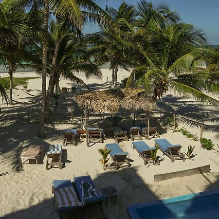 Casa Mate Beachfront Houses เอลกูโย ภายนอก รูปภาพ