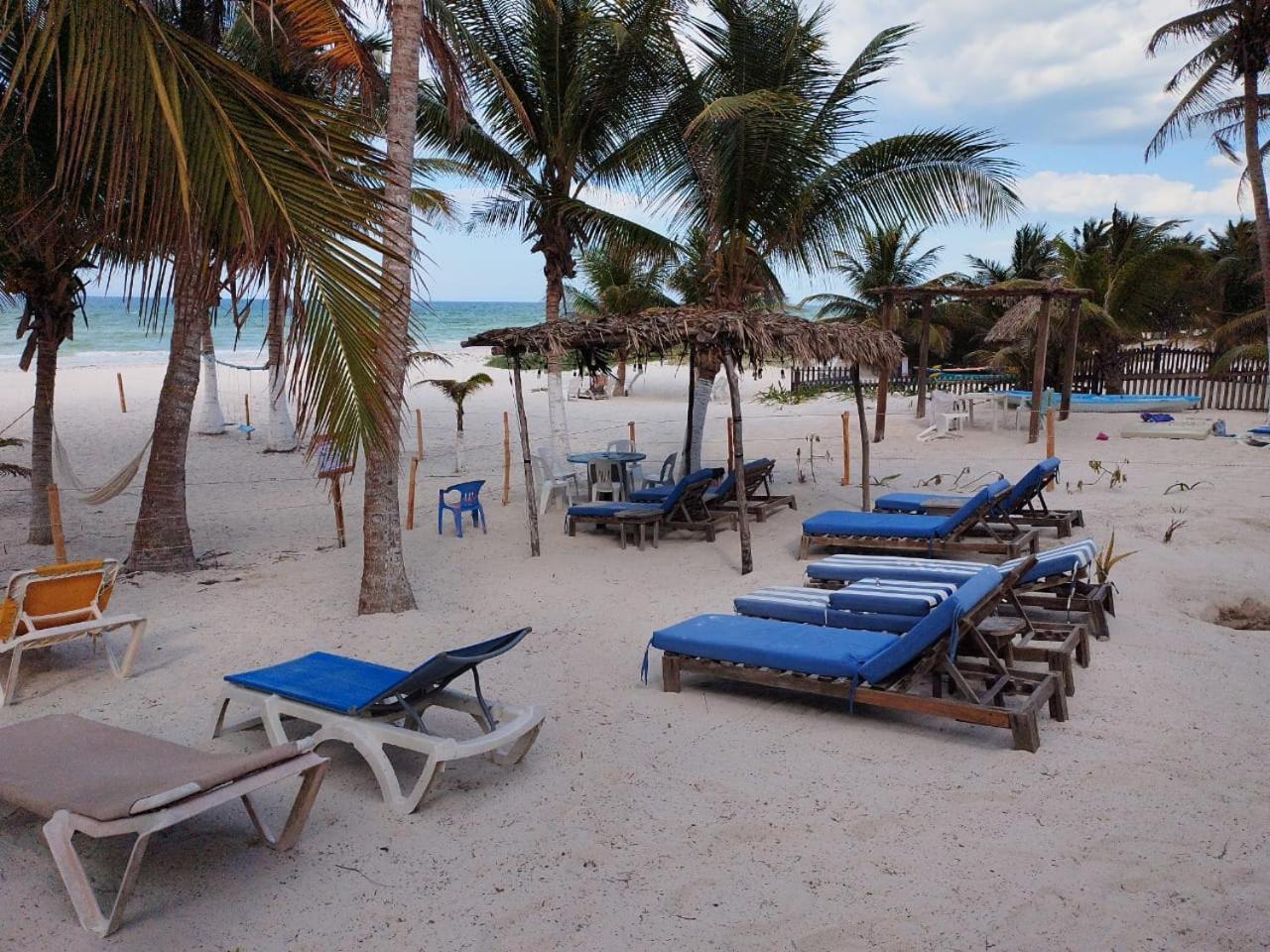 Casa Mate Beachfront Houses เอลกูโย ภายนอก รูปภาพ